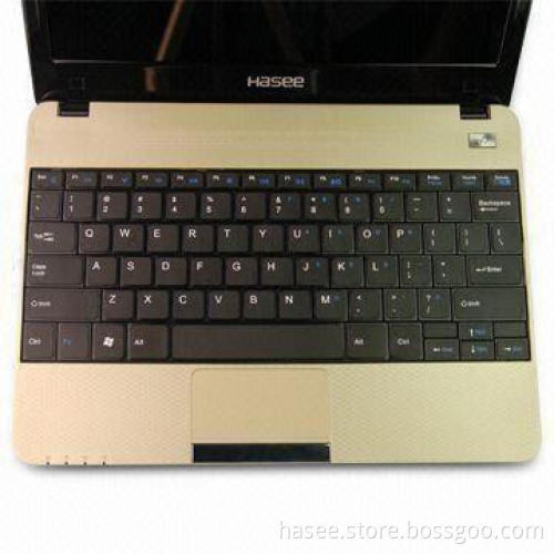 Netbook with Intel Pentium U5600 CPU, 2GB DDR3 Memory and 320G SATA HDD
